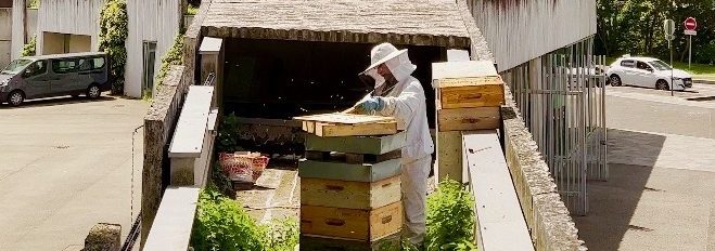 Extension du domaine de la ruche
